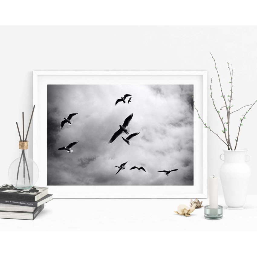 Fåglar bland molnen - Svartvit poster