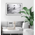 Fåglar bland molnen - Svartvit poster