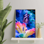 Färgstark fjäril - Insektsposter