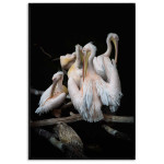 Poster with pink white flamingos