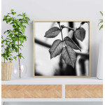 Simple leaf - Black and white poster