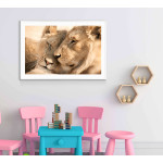 Lovely lions - Animals poster