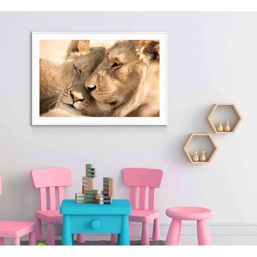 Lovely lions - Animals poster