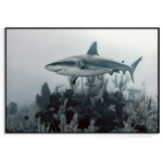 Great shark - Animals poster