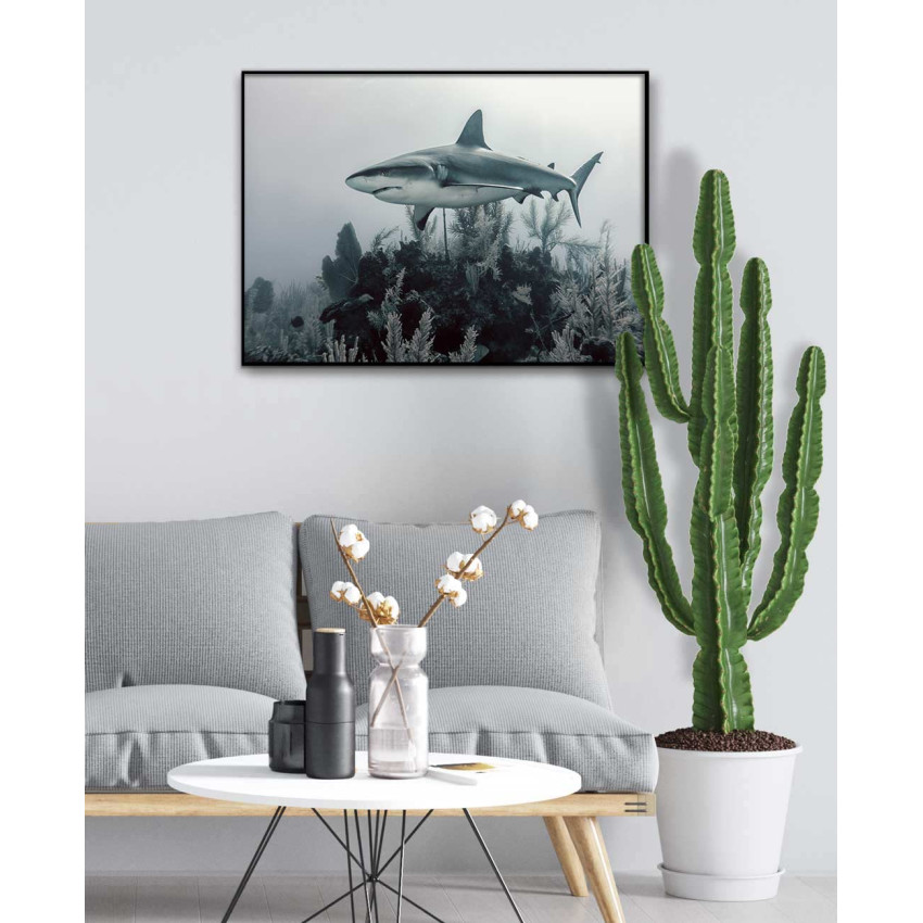 Great shark - Animals poster