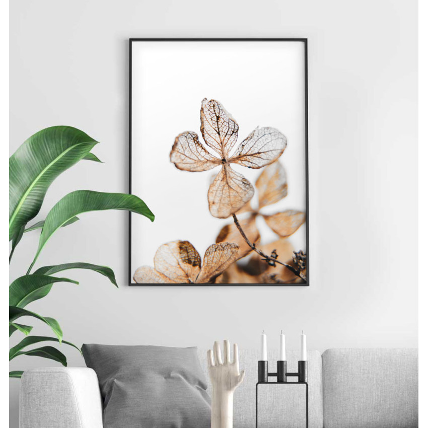 Hortensia blomma växtposter