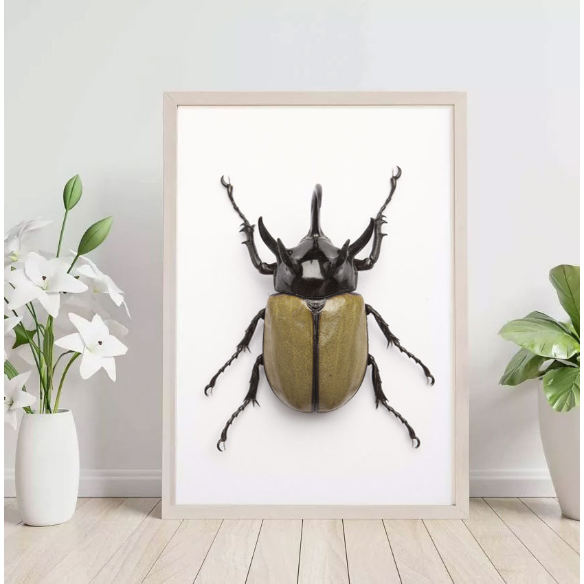 Small bug - Simple brown poster