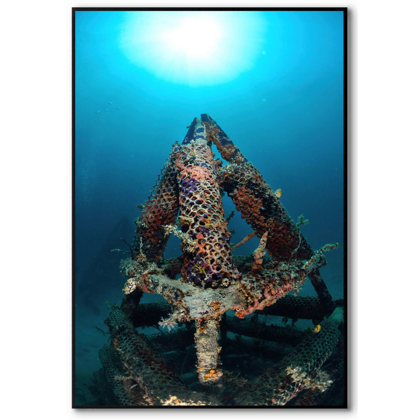 Koraller och vrak - F&auml;rgglad poster