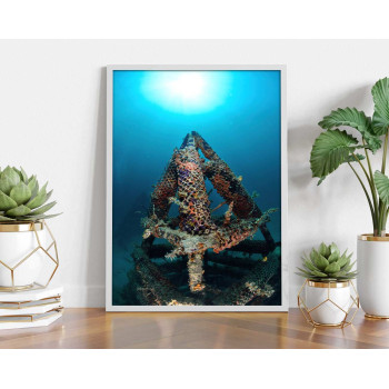 Koraller och vrak - F&auml;rgglad poster