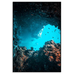 Exotic corals and fish- Elegant poster