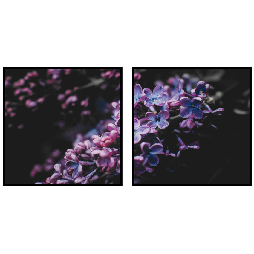 Lila blommor - Perfect pair kvadratiska tavlor