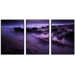 Exotic & purple water - Poster in three pieces