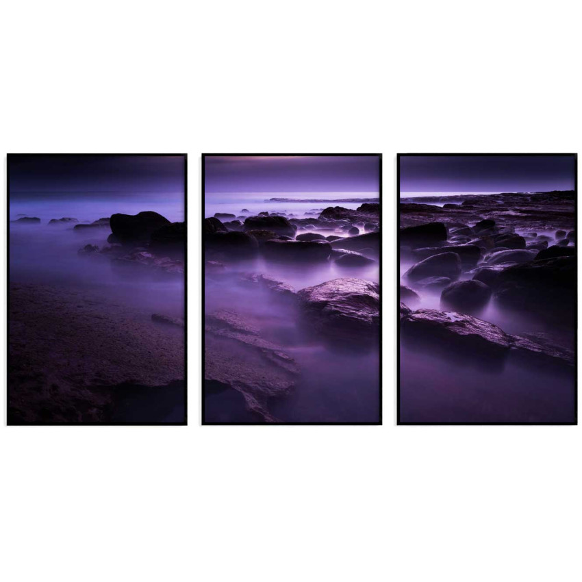 Exotic & purple water - Poster in three pieces
