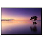 Träd i Afrikansk sjö - Lila poster