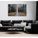 Swedish nature with passage - Two piece poster set