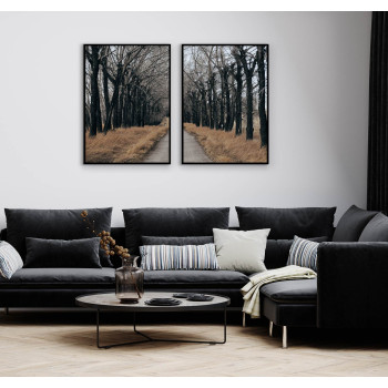 Svensk natur med passage - Poster i två delar