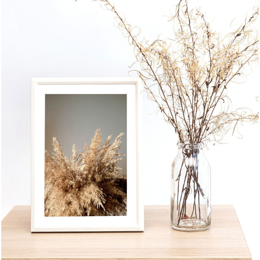 Simply elegant pampas poster