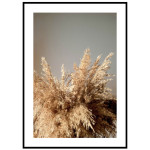 Simply elegant pampas poster