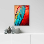 Birds feathers - Colorful poster