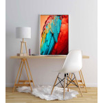 Birds feathers - Colorful poster