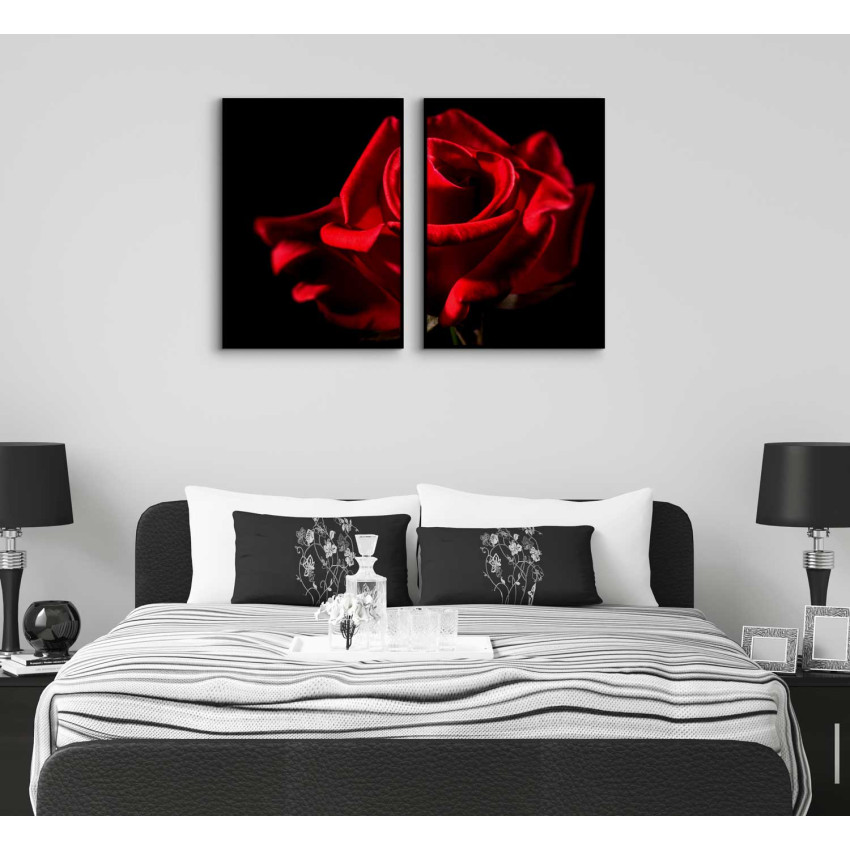 Red Rose and Black Background - Poster in Two Pieces