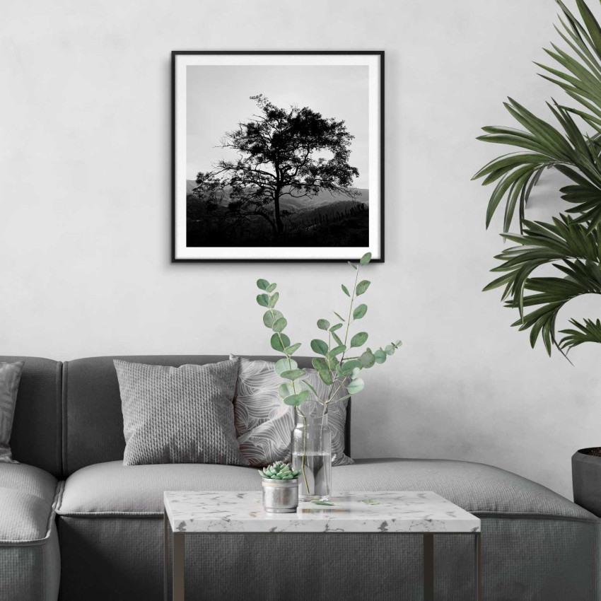 Vackert träd - Svartvit kvadratisk naturtavla