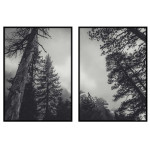 Svartvit tavla med mystiskt skogsmotiv