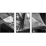 Skyskrapor arkitektur - Svartvit perfect trio tavla