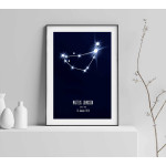 Stenbocken - Personlig & trendig poster