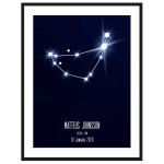 Stenbocken - Personlig & trendig poster