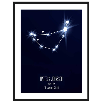 Stenbocken - Personlig & trendig poster