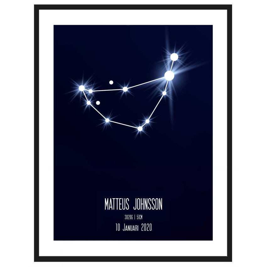 Stenbocken - Personlig & trendig poster