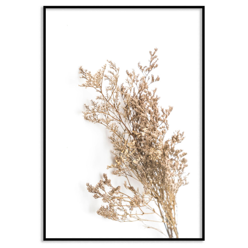 Växtposter med torkad blomma