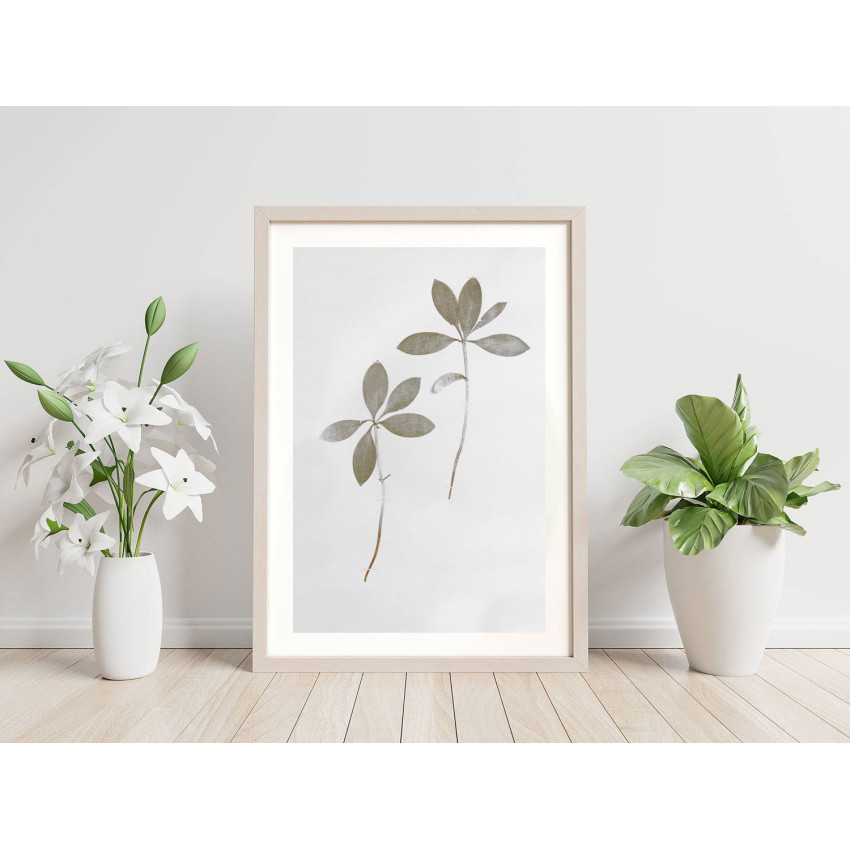 Växttavla med torkade blomblad