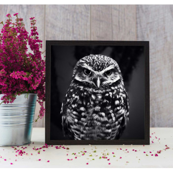 Uggla - Svartvit kvadratisk affisch