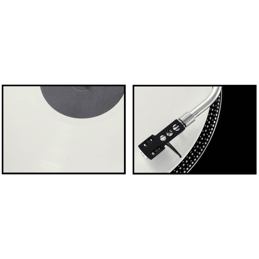 Vinyl Record - Poster in Two Pieces