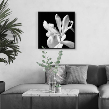 Vit blomma - Svartvit kvadratisk poster