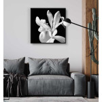 Vit blomma - Svartvit kvadratisk poster
