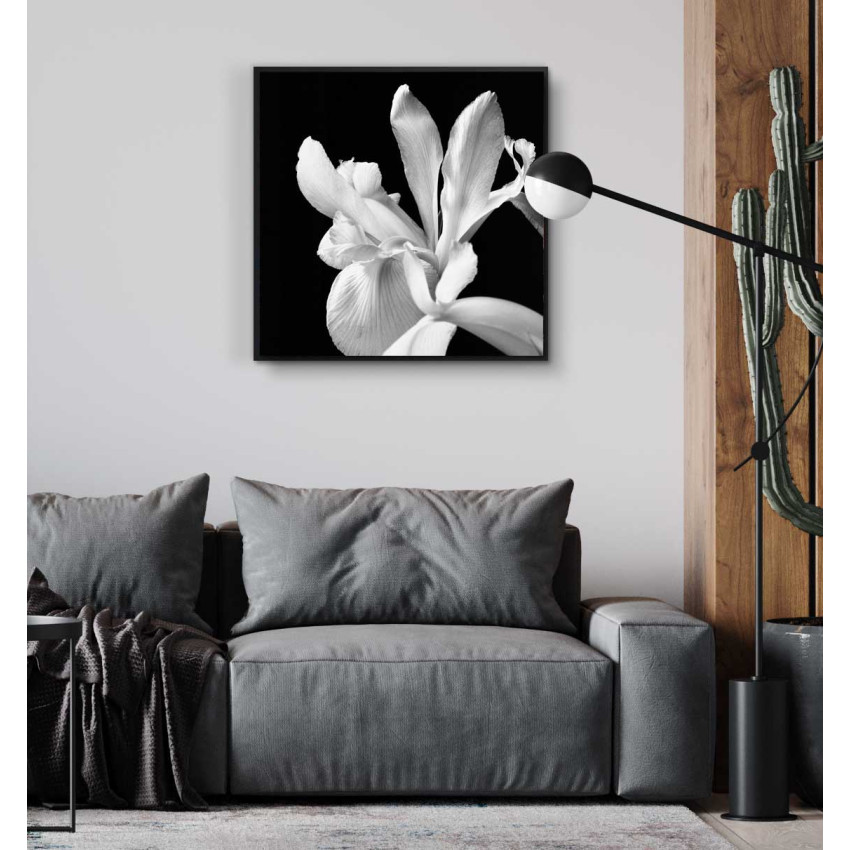 Vit blomma - Svartvit kvadratisk poster