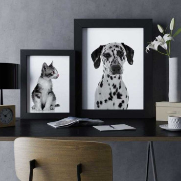 Cat & dog posters