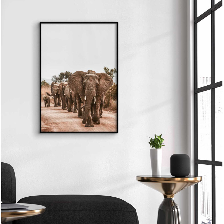 Elephants flock - Animals poster