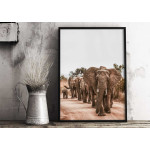 Elephants flock - Animals poster