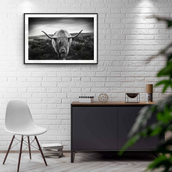 Buffalo bisonoxe - Svartvit djurtavla