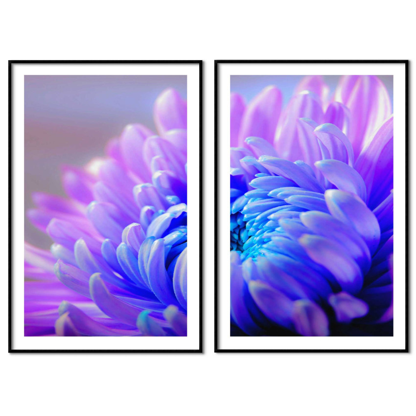 Färgglad botanisk poster - Blå och lila blommor