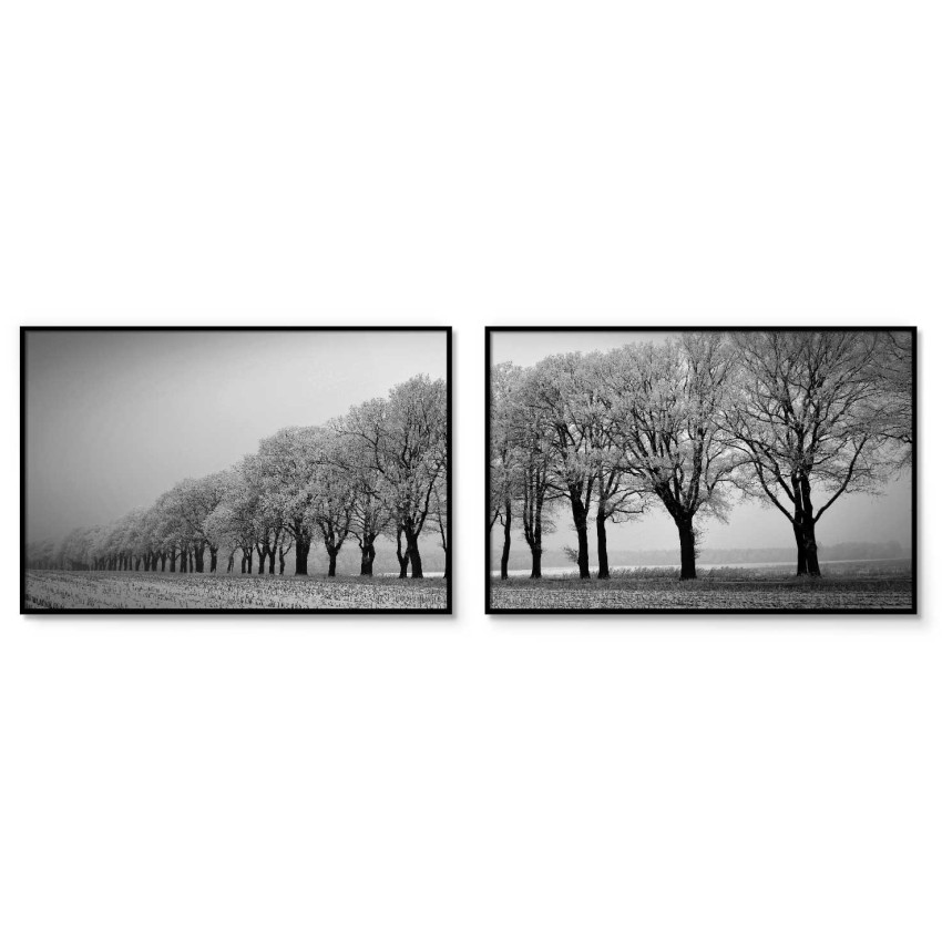 Trees in Line - Poster in Two Pieces