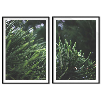 Gröna blad - Retro botanisk växttavla