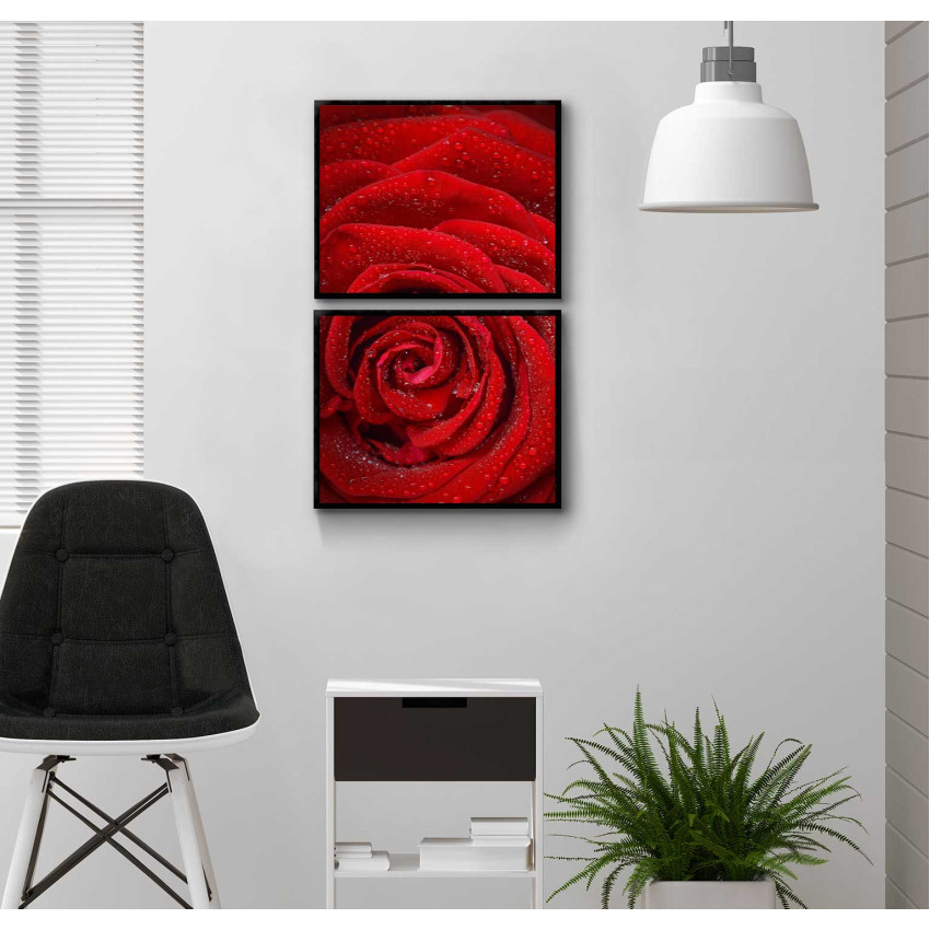 Red Rose - Two Piece Poster
