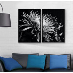 Abstract flower - Two piece black & white poster
