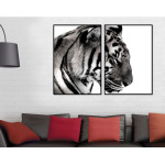 Tiger - Poster in Two Pieces