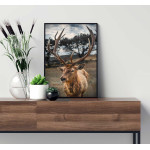 Vacker ren - Skandinaviskt djurmotiv